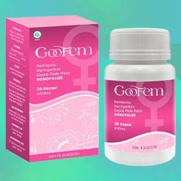 GOOFEM
