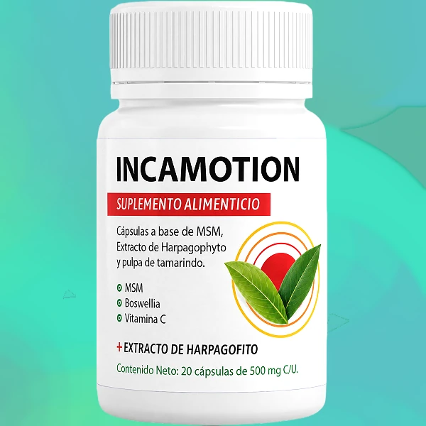 IncaMotion