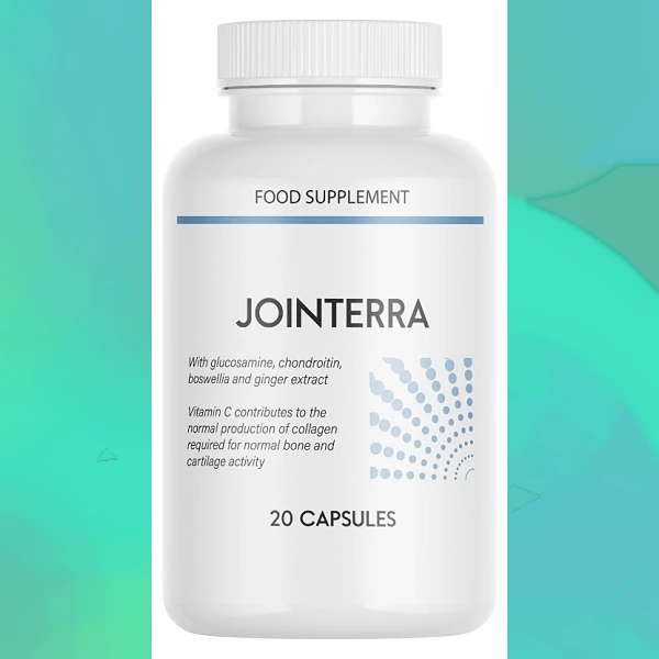 Jointerra