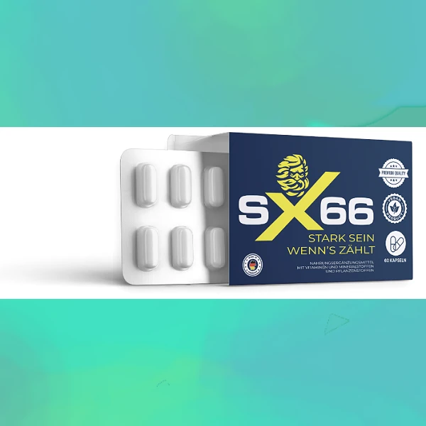 SX 66